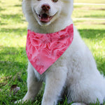 Pink Carnation Flower Print Over The Collar Dog Bandana
