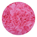 Pink Carnation Flower Print Round Blanket