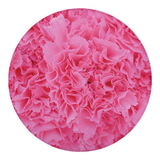 Pink Carnation Flower Print Round Blanket