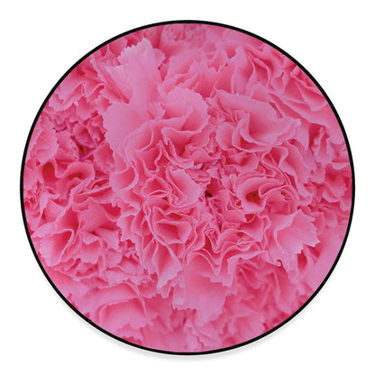 Pink Carnation Flower Print Round Floor Mat