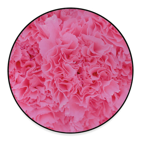 Pink Carnation Flower Print Round Floor Mat