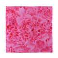 Pink Carnation Flower Print Silk Bandana