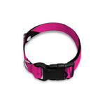 Pink Cassette Tape Pattern Print Dog Collar