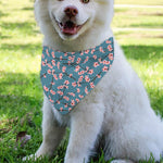 Pink Cherry Blossom Pattern Print Over The Collar Dog Bandana