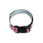 Pink Cherry Blossom Print Dog Collar