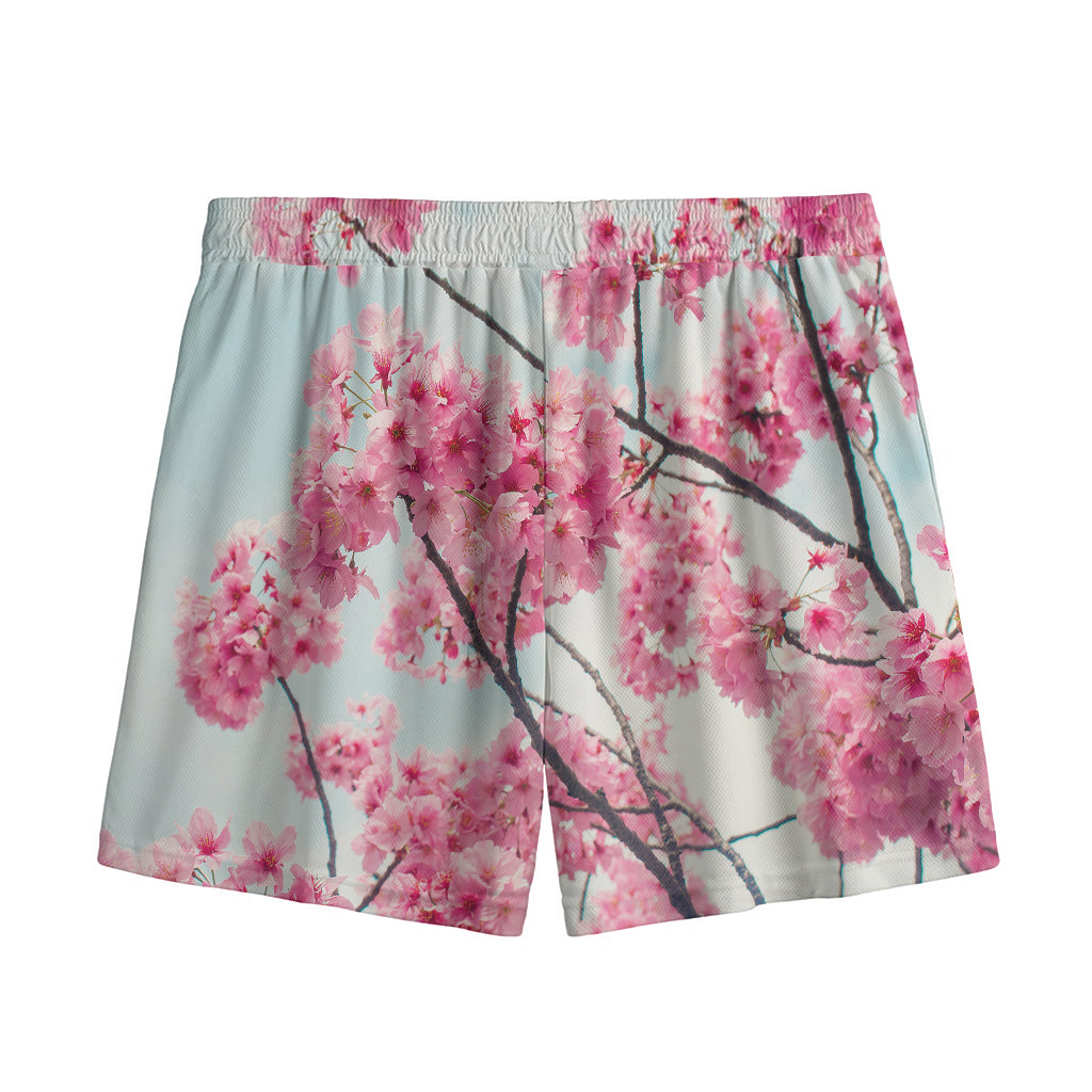 Pink Cherry Blossom Print Mesh Shorts