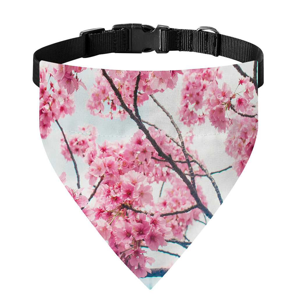Pink Cherry Blossom Print Over The Collar Dog Bandana