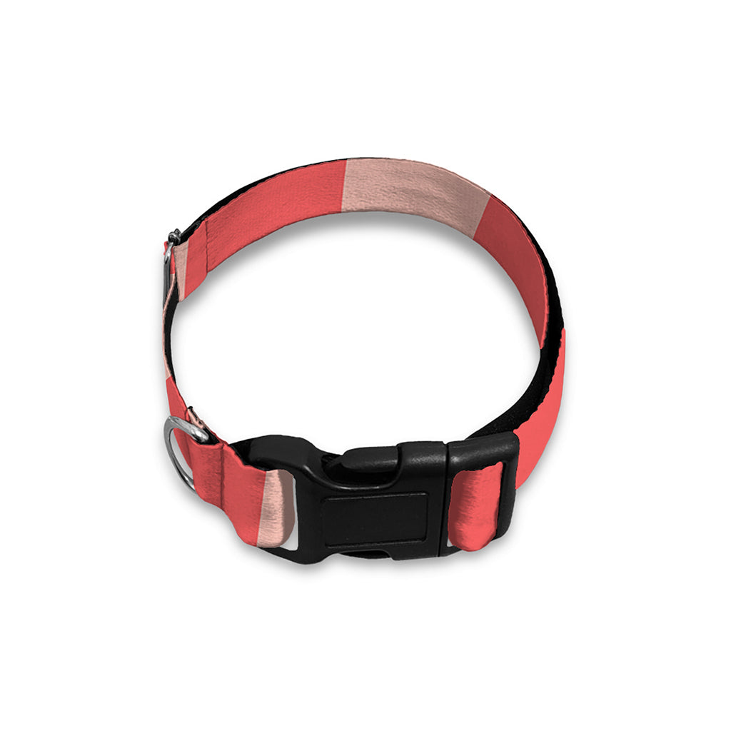 Pink Circle Swirl Print Dog Collar