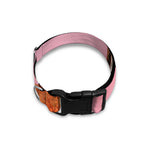 Pink Coconut Pattern Print Dog Collar