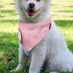 Pink Coconut Pattern Print Over The Collar Dog Bandana