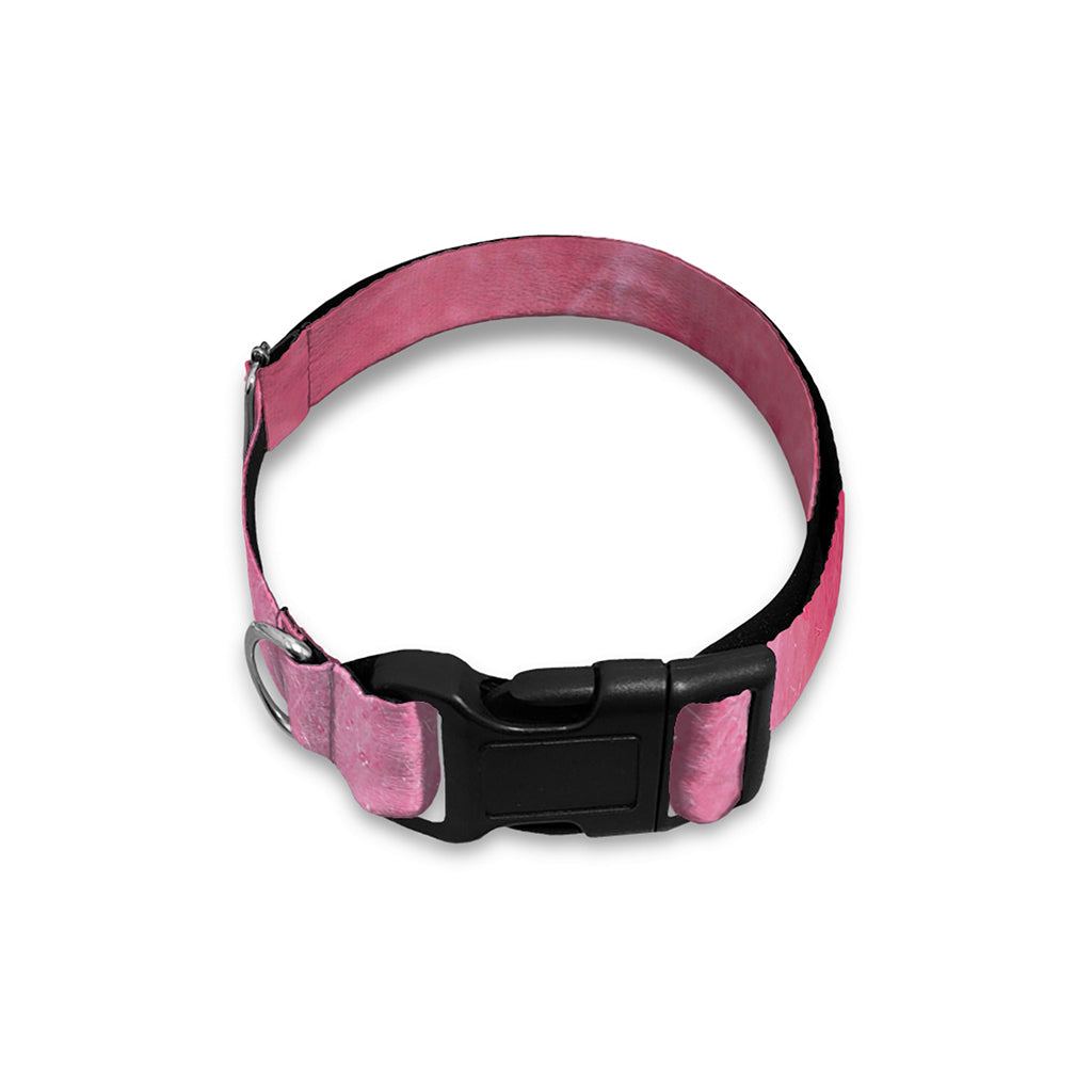 Pink Cotton Candy Print Dog Collar