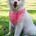 Pink Cotton Candy Print Over The Collar Dog Bandana