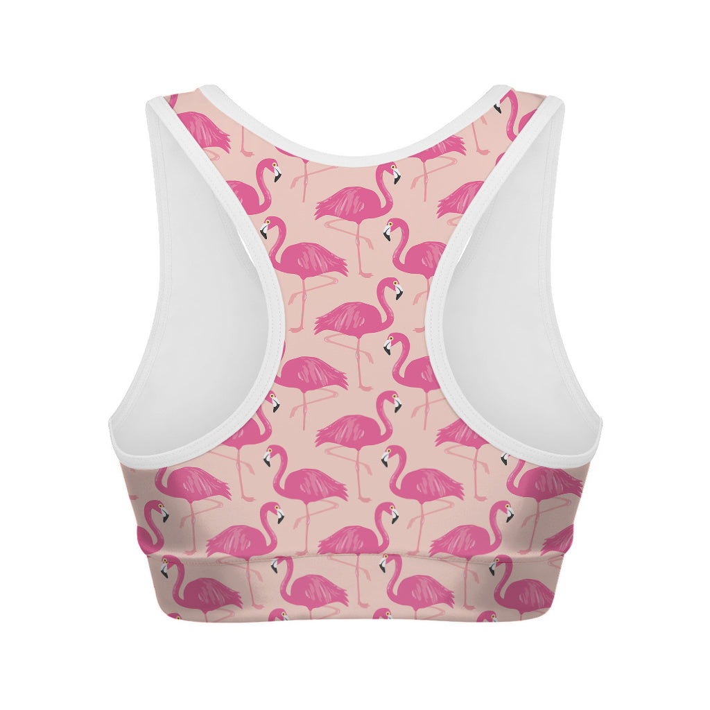 Pink Flamingo Pattern Print Women's Sports Bra