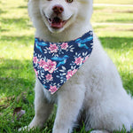 Pink Flowers And Hummingbird Print Over The Collar Dog Bandana