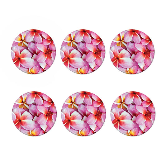 Pink Frangipani Flower Print Coaster Set