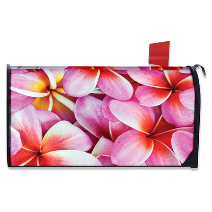 Pink Frangipani Flower Print Mailbox Cover