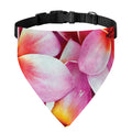 Pink Frangipani Flower Print Over The Collar Dog Bandana