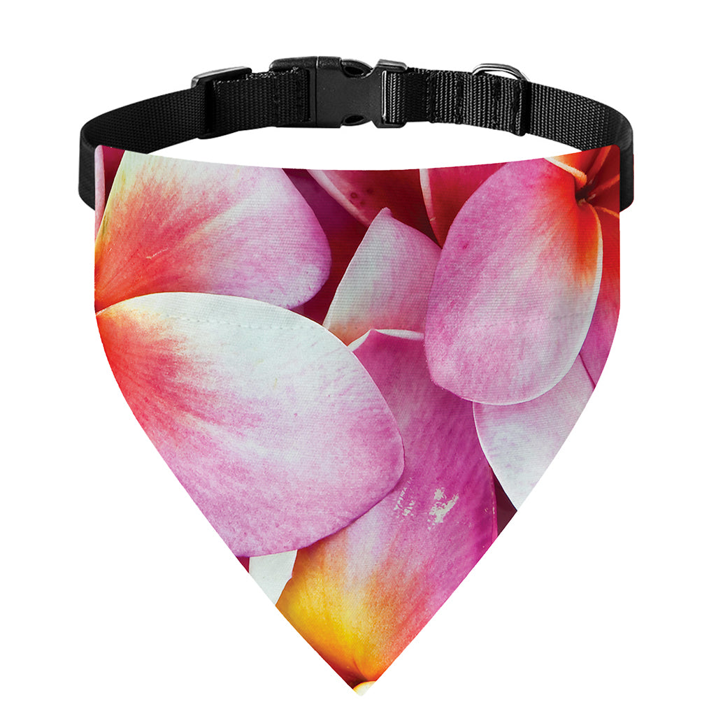Pink Frangipani Flower Print Over The Collar Dog Bandana