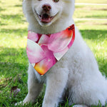 Pink Frangipani Flower Print Over The Collar Dog Bandana