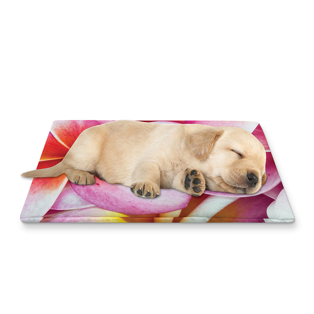 Pink Frangipani Flower Print Pet Cooling Mat Cover