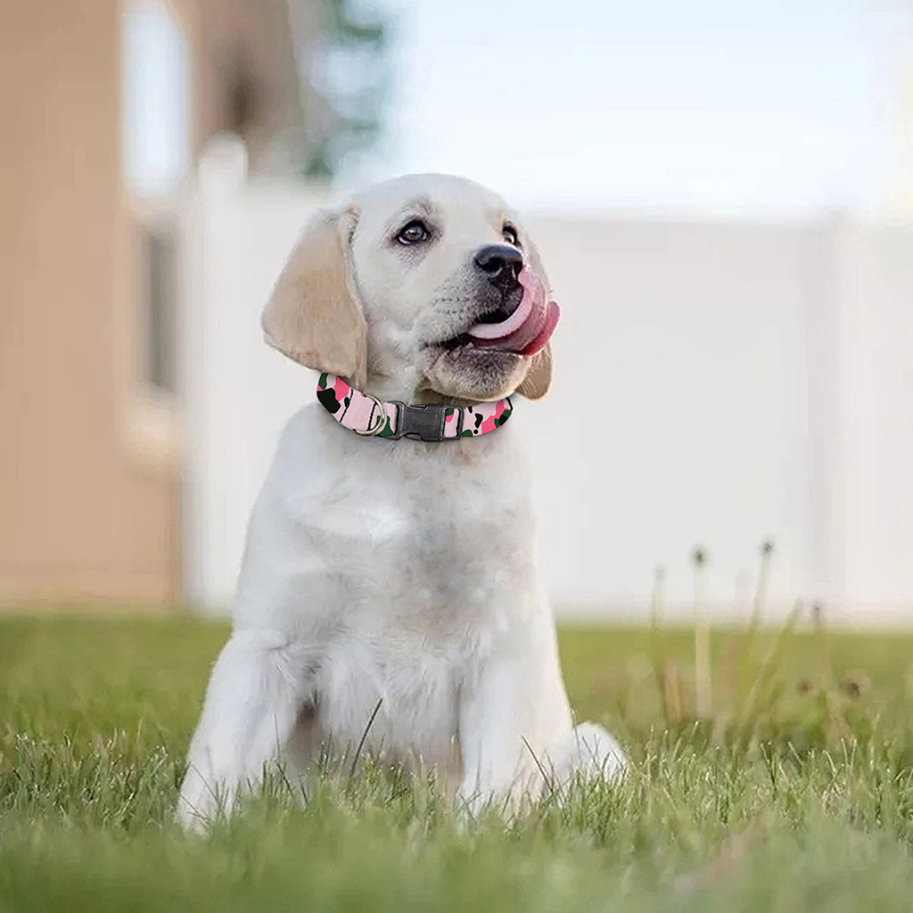 Pink Green And Black Camouflage Print Dog Collar