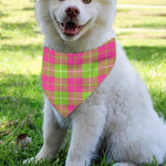Pink Green And White Tartan Print Over The Collar Dog Bandana