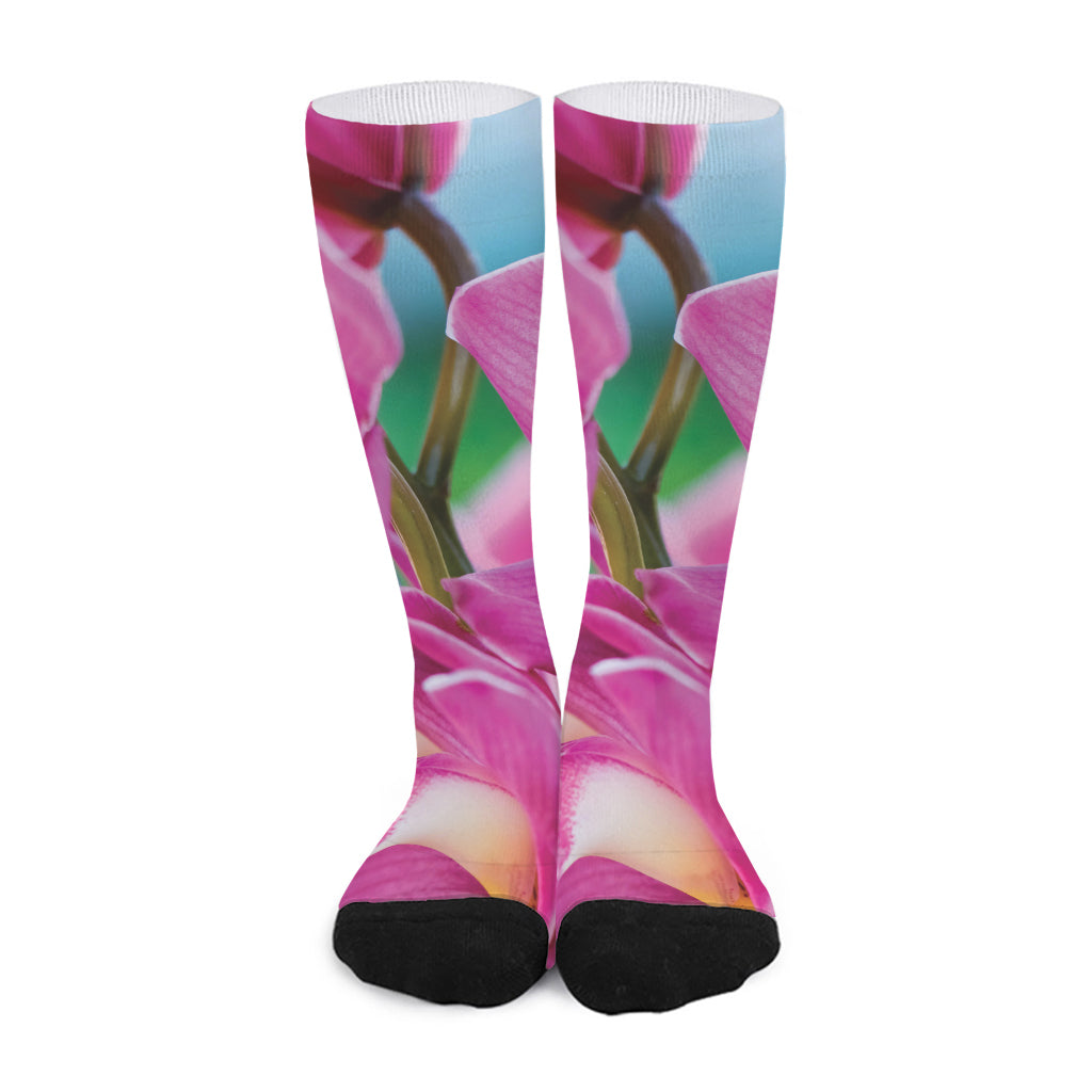 Pink Orchid Flower Print Long Socks