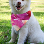 Pink Orchid Flower Print Over The Collar Dog Bandana