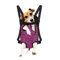 Pink Paisley Pattern Print Pet Carrier Backpack