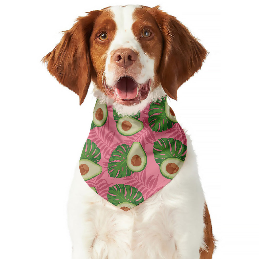 Pink Palm Leaf Avocado Print Dog Bandana