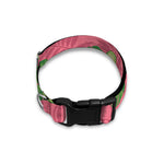 Pink Palm Leaf Avocado Print Dog Collar