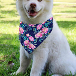 Pink Peony Floral Flower Pattern Print Over The Collar Dog Bandana