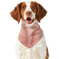 Pink Pig Tail Print Dog Bandana
