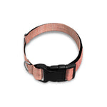Pink Pig Tail Print Dog Collar