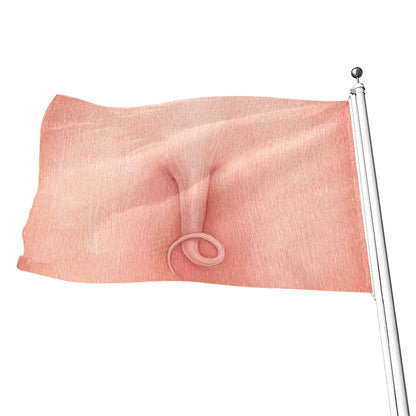 Pink Pig Tail Print Flag