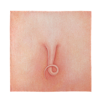 Pink Pig Tail Print Silk Bandana