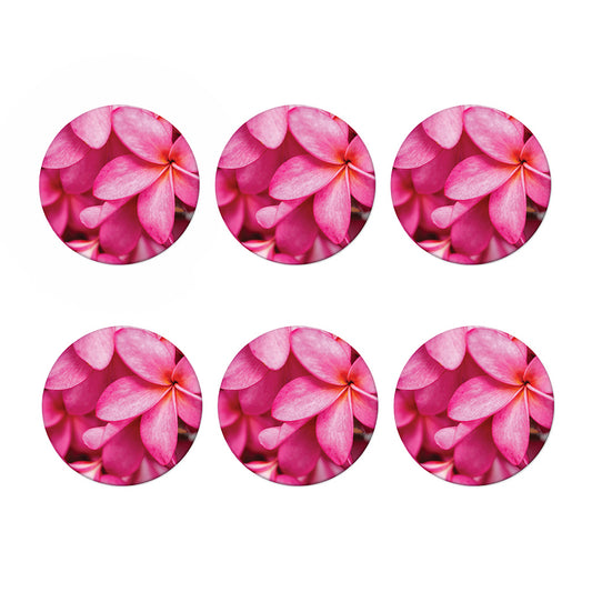 Pink Plumeria Flower Print Coaster Set