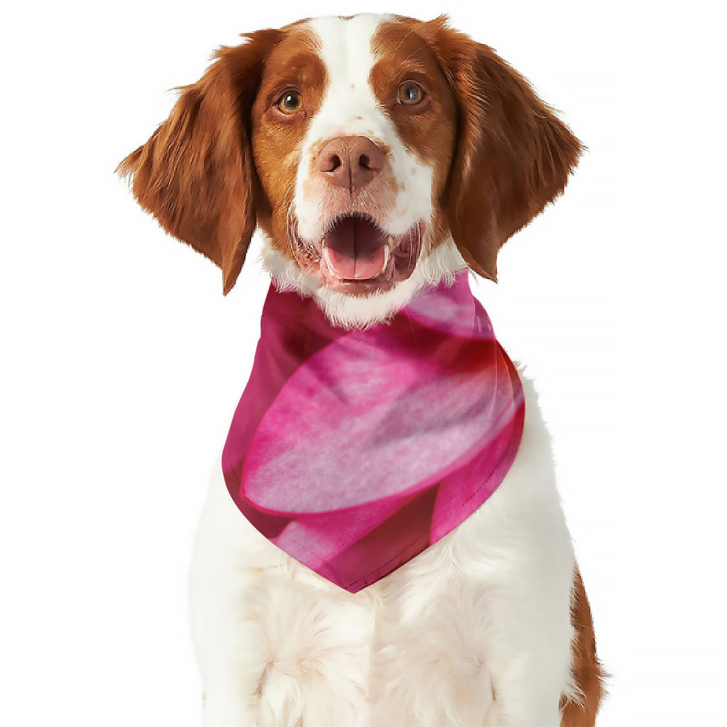 Pink Plumeria Flower Print Dog Bandana