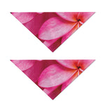 Pink Plumeria Flower Print Dog Bandana