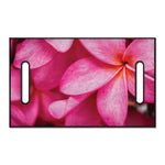 Pink Plumeria Flower Print Golf Cart Seat Cover