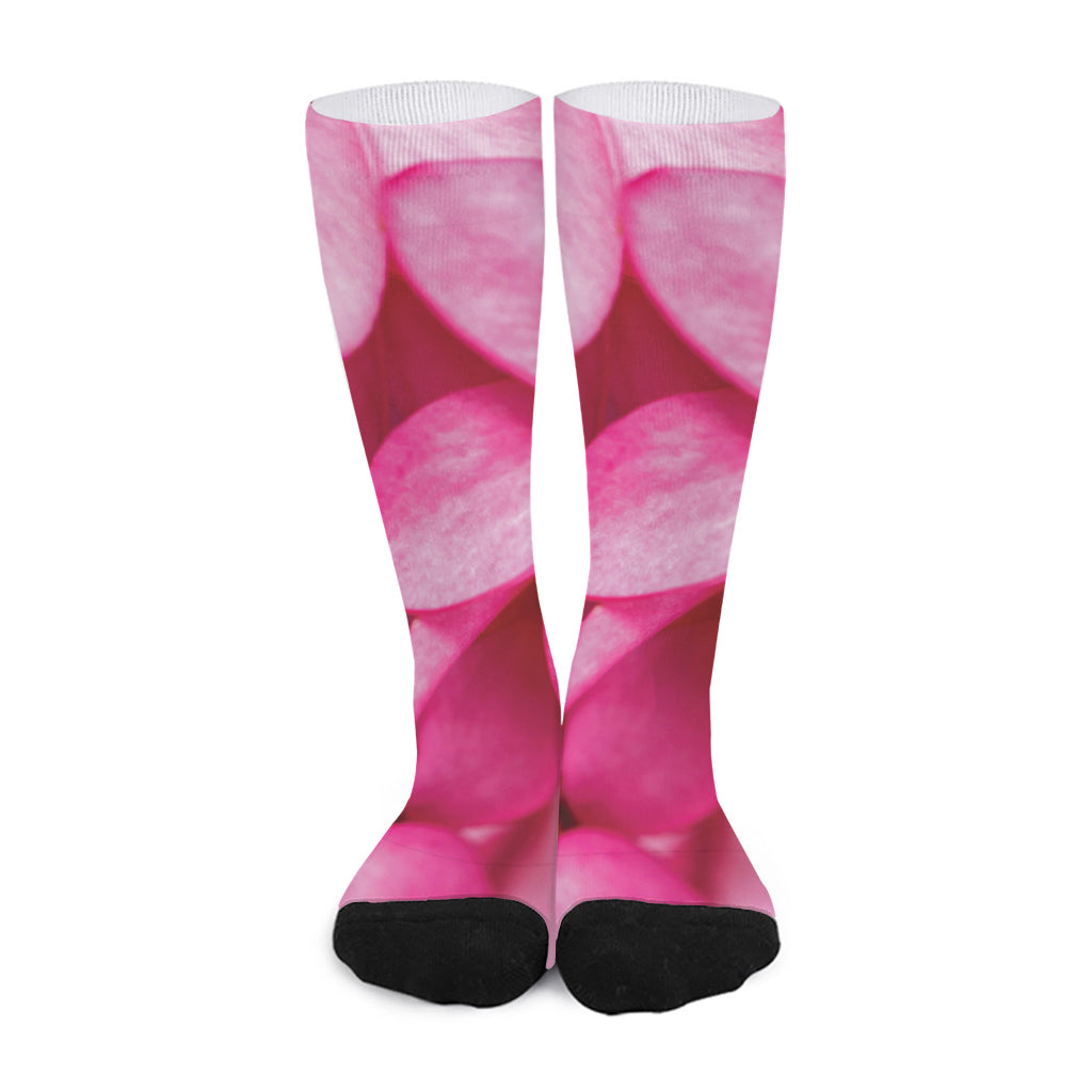 Pink Plumeria Flower Print Long Socks