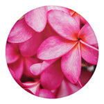 Pink Plumeria Flower Print Round Blanket