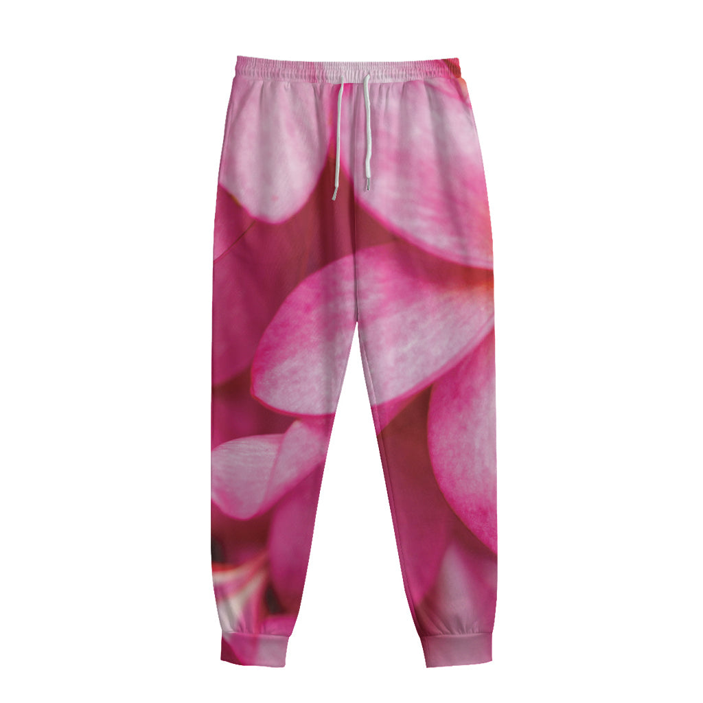 Pink Plumeria Flower Print Sweatpants