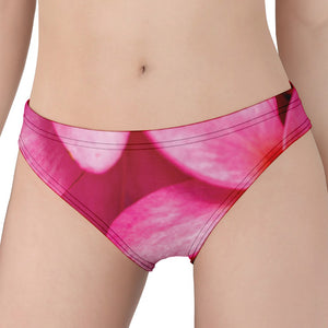 Pink Plumeria Flower Print Women's Panties