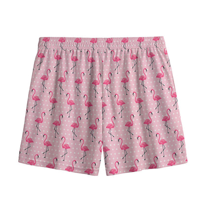 Pink Polka Dot Flamingo Pattern Print Mesh Shorts