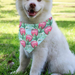 Pink Protea Pattern Print Over The Collar Dog Bandana
