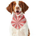 Pink Radial Rays Print Dog Bandana