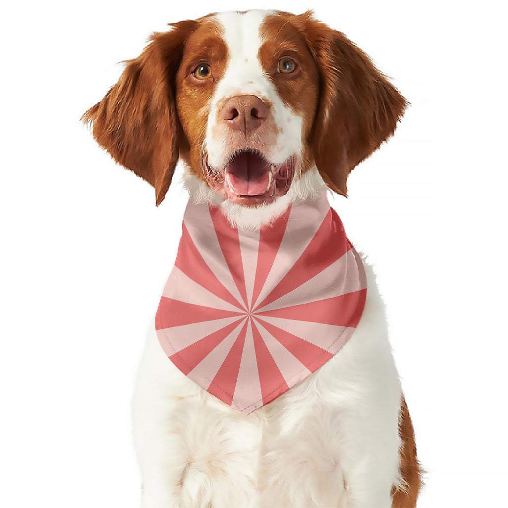 Pink Radial Rays Print Dog Bandana