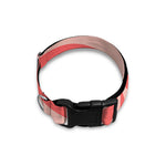 Pink Radial Rays Print Dog Collar