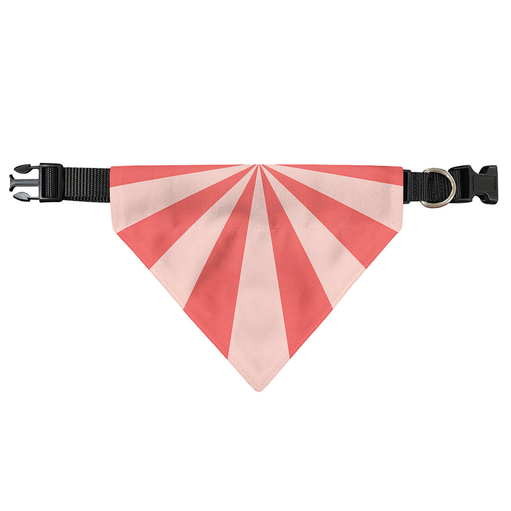 Pink Radial Rays Print Over The Collar Dog Bandana